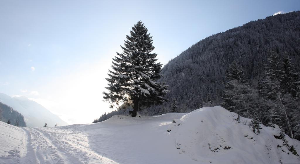 Apartments Haus Schoen - Preise Inclusive Pitztal Sommer Card 제르젠스 외부 사진